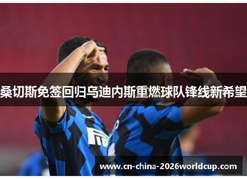 桑切斯免签回归乌迪内斯重燃球队锋线新希望 桑切斯免签回归乌迪内斯重燃球队锋线新希望