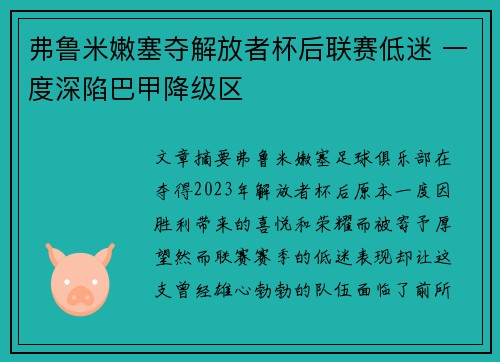 弗鲁米嫩塞夺解放者杯后联赛低迷 一度深陷巴甲降级区 弗鲁米嫩塞夺解放者杯后联赛低迷 一度深陷巴甲降级区